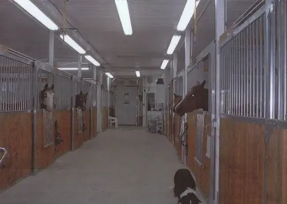 Allée d’écurie avec plusieurs box pour chevaux en bois et acier galvanisé.