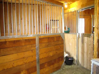 Façade de box pour chevaux Equinad avec remplissage bois et cadre métallique.