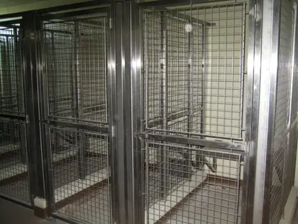 Façades métalliques pour box de chevaux avec barreaux verticaux.